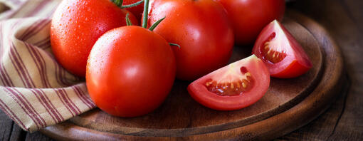 Can dogs eat canned tomatoes clearance